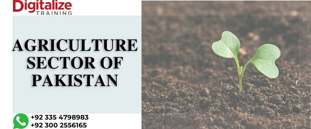 Agriculture sector of Pakistan